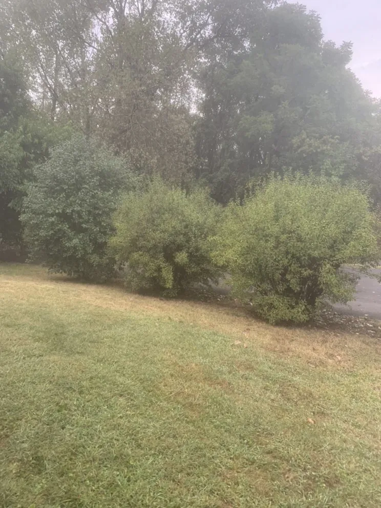 Top-rated lawn care service experts serving Country Club Hills, IL - Patton’s Lawn Care