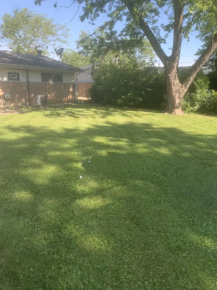 Top-rated garden landscaping for beautiful yards in Country Club Hills, IL by Patton’s Lawn Care