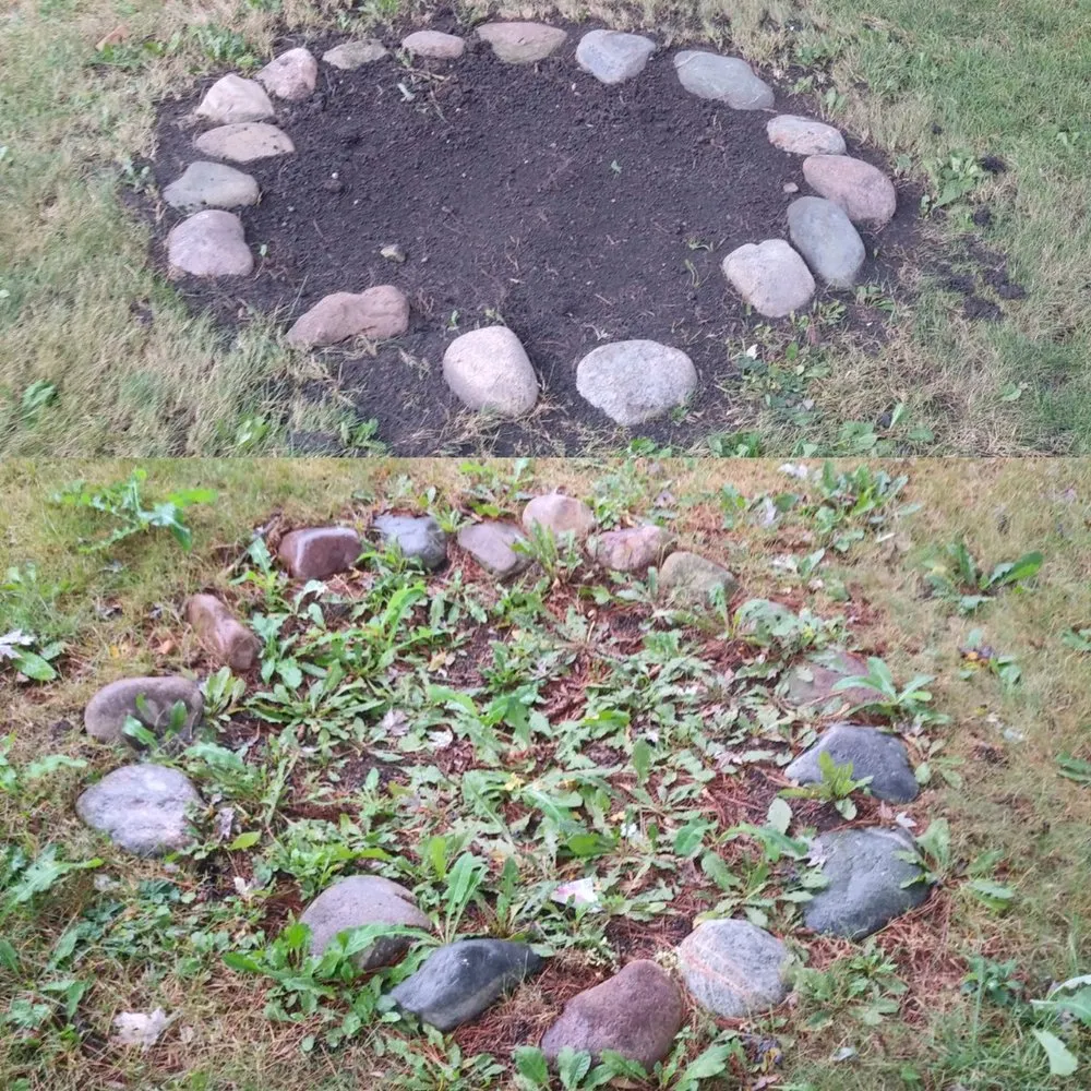 Reliable yard cleanup service in Country Club Hills, IL by Patton’s Lawn Care