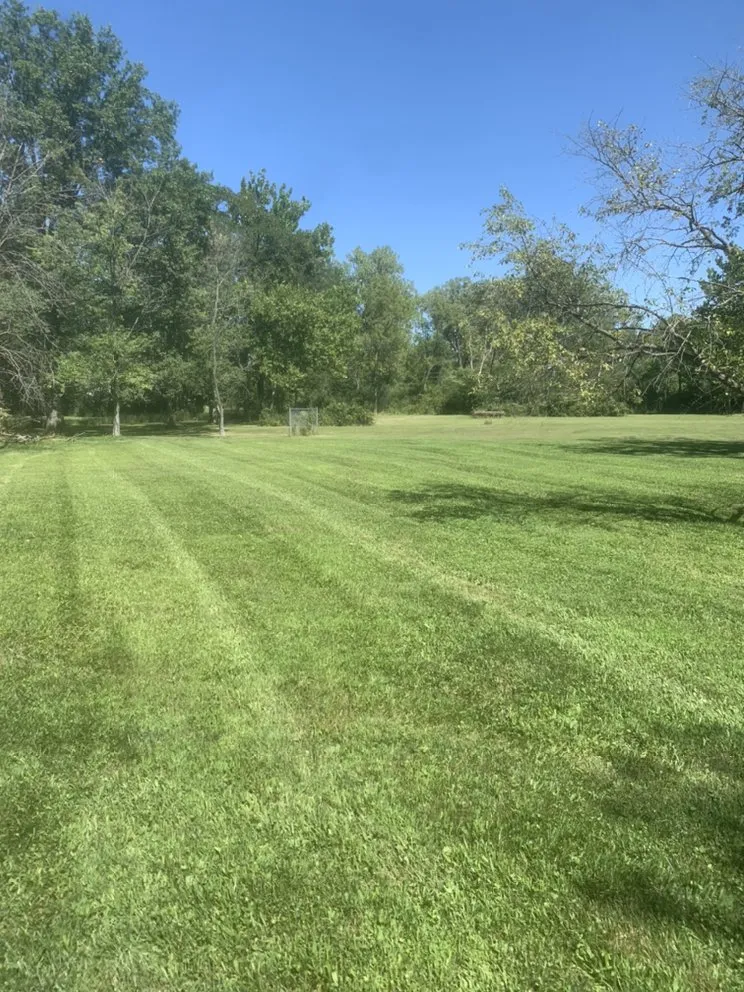 Professional yard cleanup service in Country Club Hills, IL by Patton’s Lawn Care