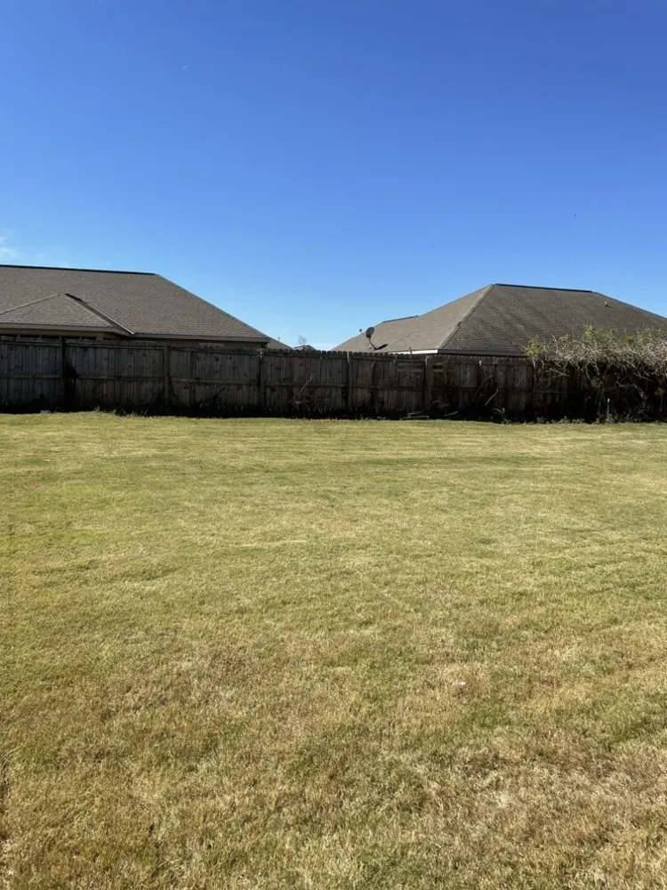 Professional yard cleanup service in Tuscaloosa, AL by Pattons Pressure Washing and Landscaping