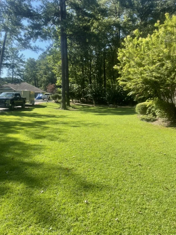 Trusted yard cleanup service in Tuscaloosa, AL - Pattons Pressure Washing and Landscaping