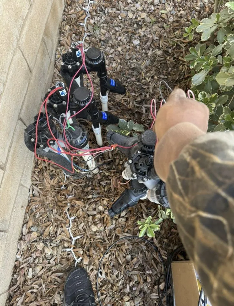 Trusted residential landscaping in Leona Valley, CA - Patty’s Landscape