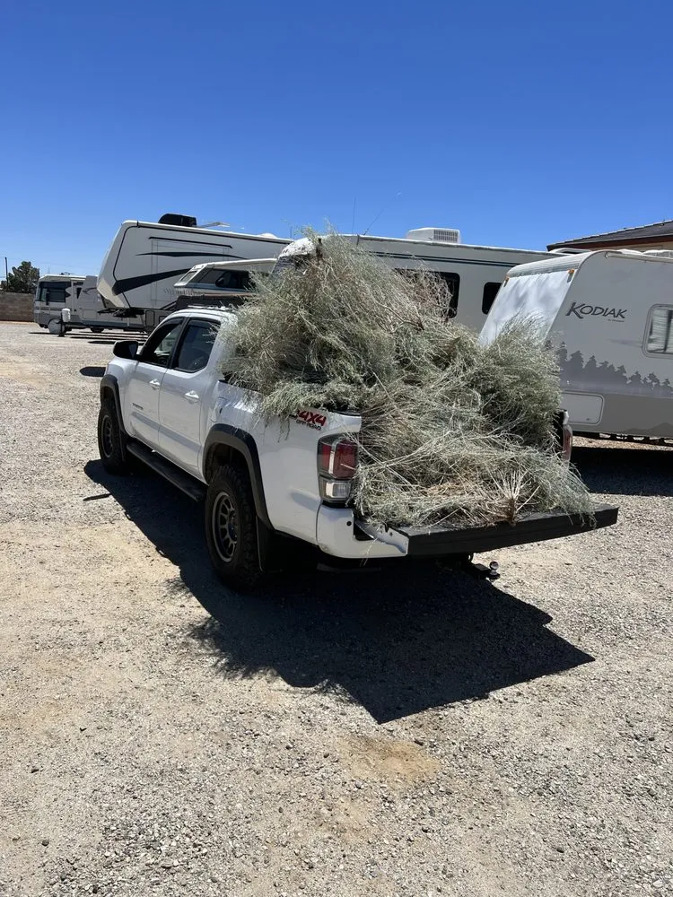 Local outdoor landscaping in Lancaster, CA by Patty's landscaping
