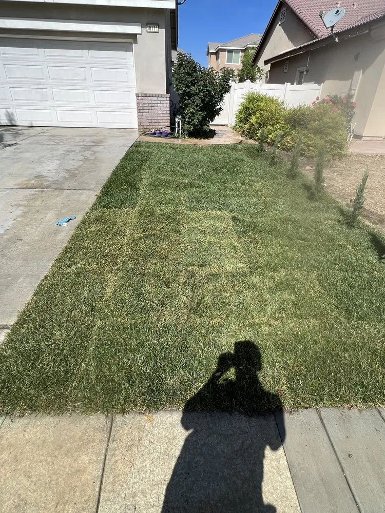 Custom lawn care service in Lancaster, CA - Patty's landscaping
