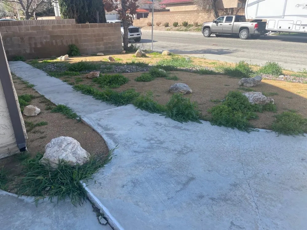 Top-rated yard cleanup service for year-round maintenance across Lancaster, CA - Patty's landscaping