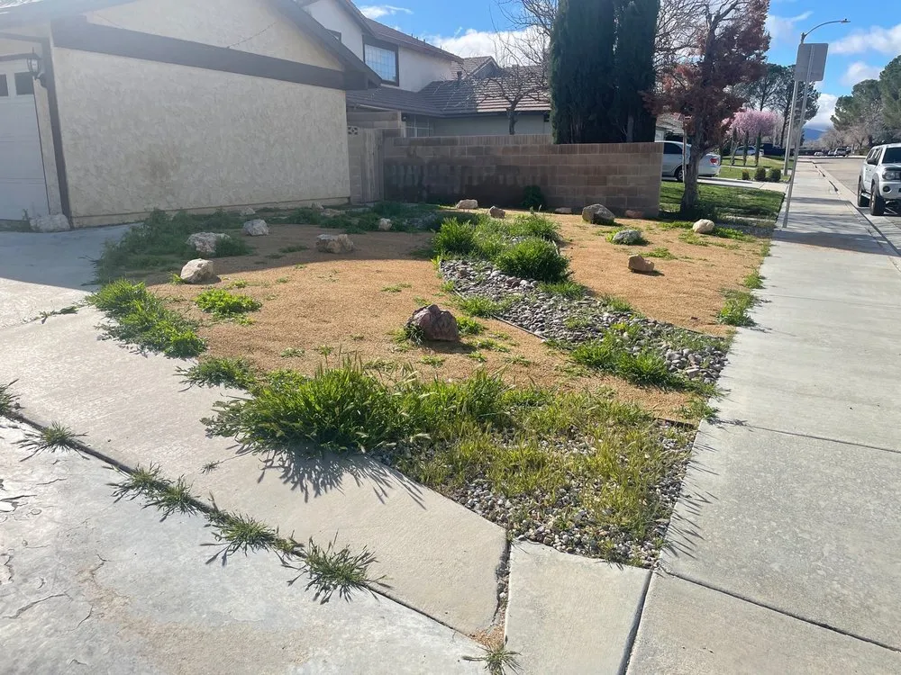 Affordable outdoor landscaping in Lancaster, CA - Patty's landscaping
