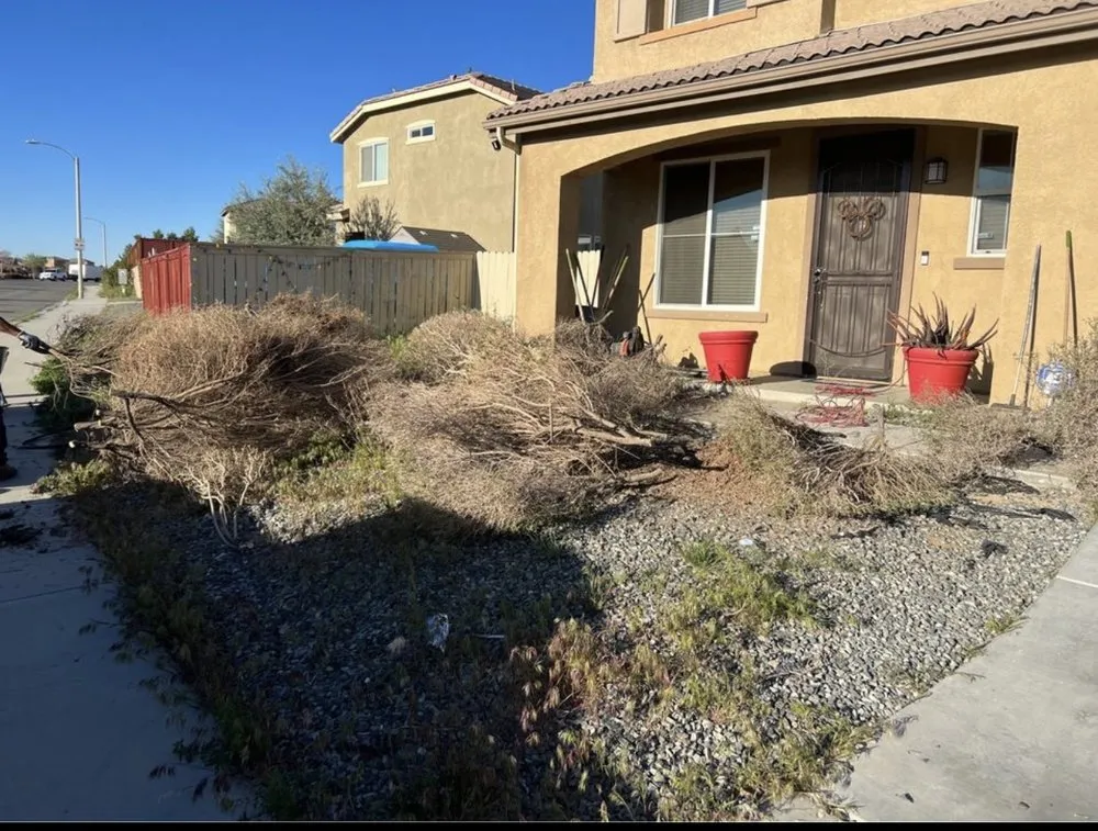 Top-rated landscaping services experts serving Lancaster, CA - Patty's landscaping