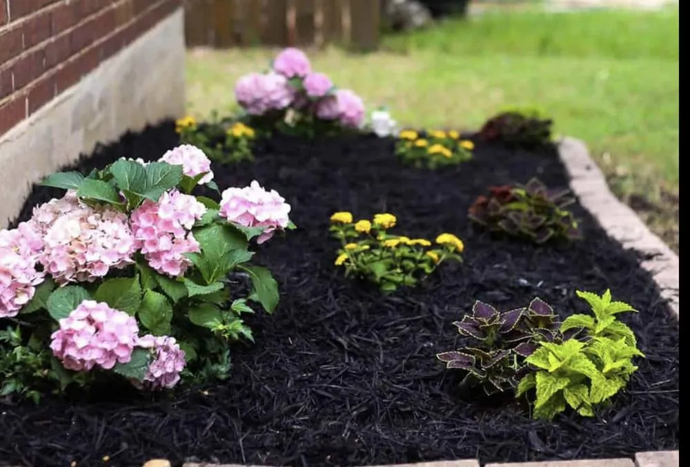 Reliable residential landscaping for residential properties in Lancaster, CA by Patty's landscaping