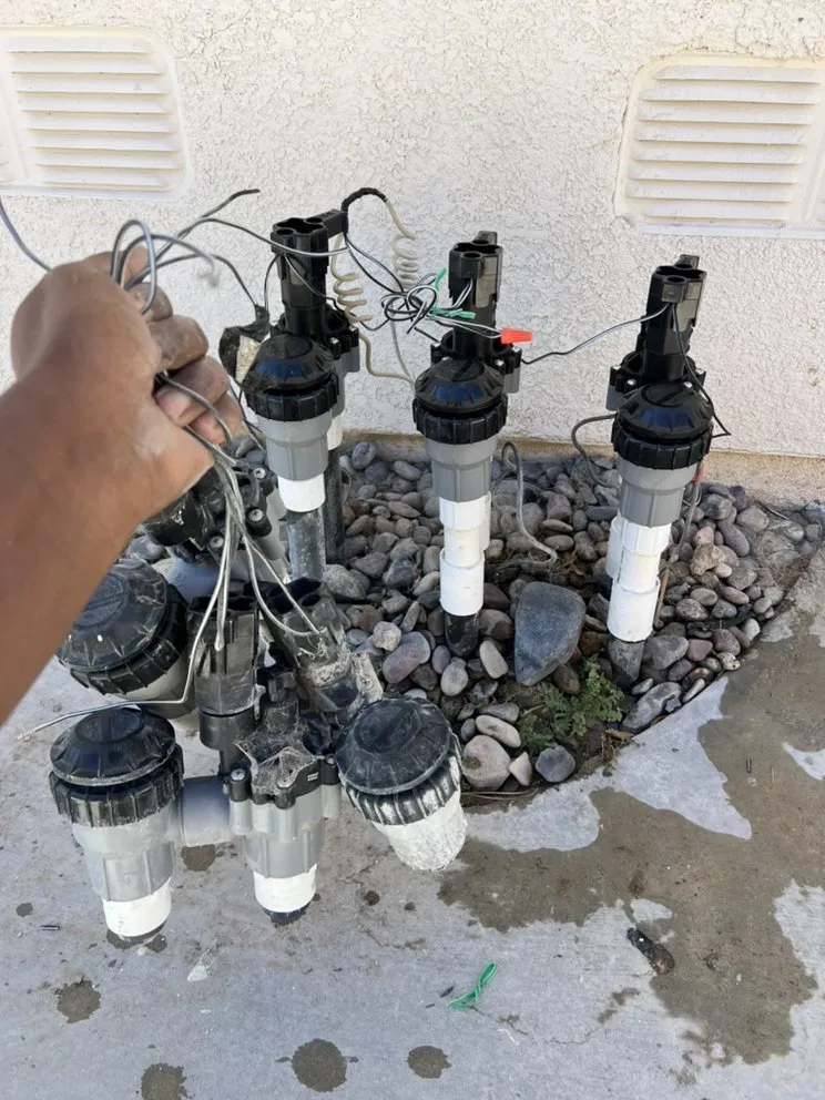 Professional landscaping services in Lancaster, CA by Patty's landscaping