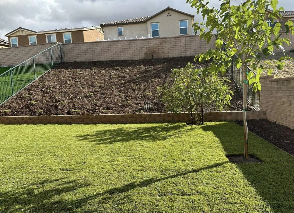 Affordable garden landscaping experts serving Lancaster, CA - Patty's landscaping