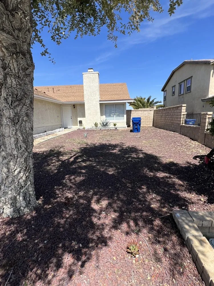Trusted yard maintenance in Lancaster, CA - Patty's landscaping