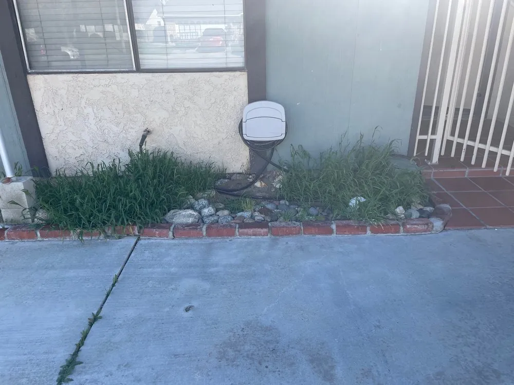 Expert landscape design experts serving Lancaster, CA - Patty's landscaping