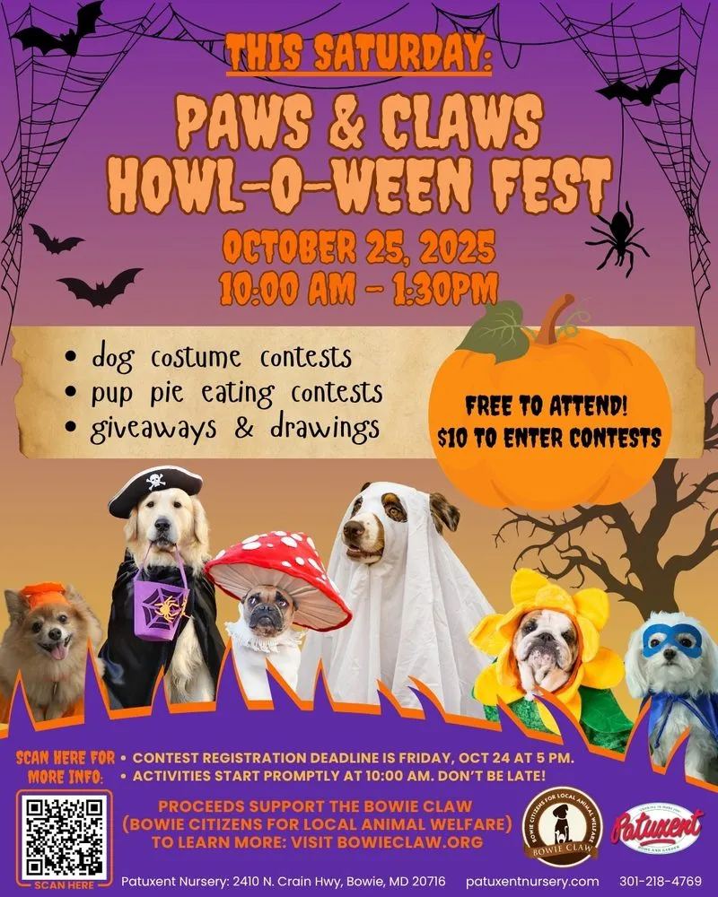 Custom residential landscaping in Bowie, MD - Patuxent Nursery