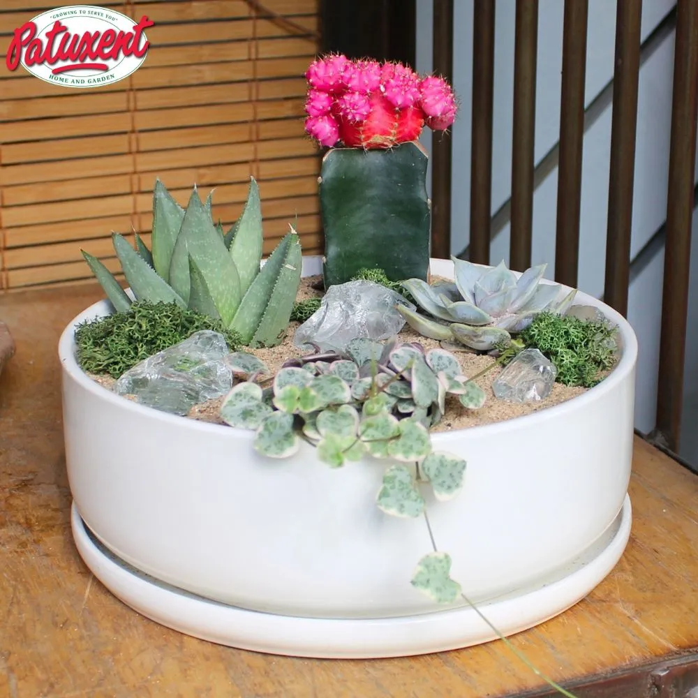 Local landscaping services for year-round maintenance across Bowie, MD - Patuxent Nursery