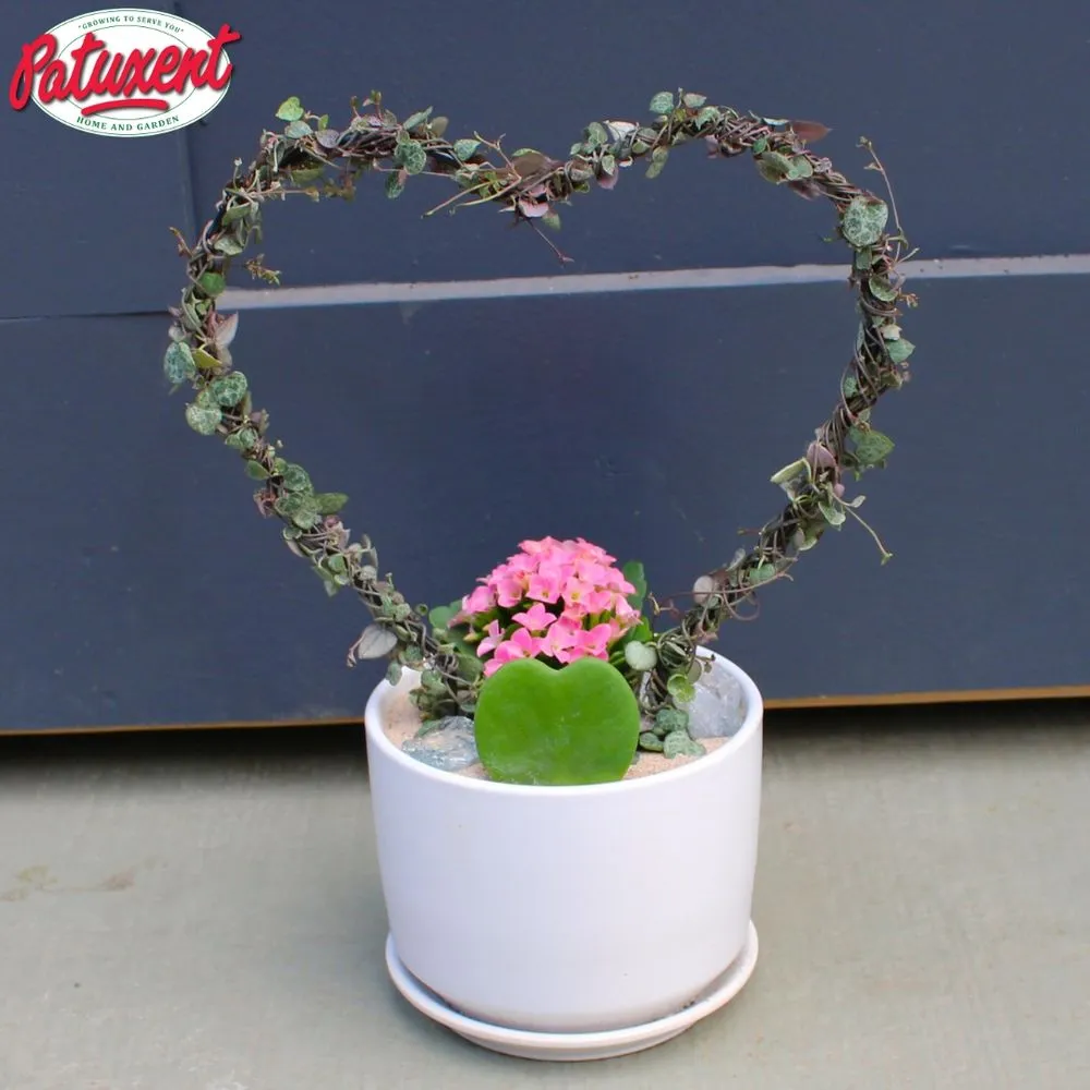 Custom lawn care service for residential properties in Bowie, MD by Patuxent Nursery