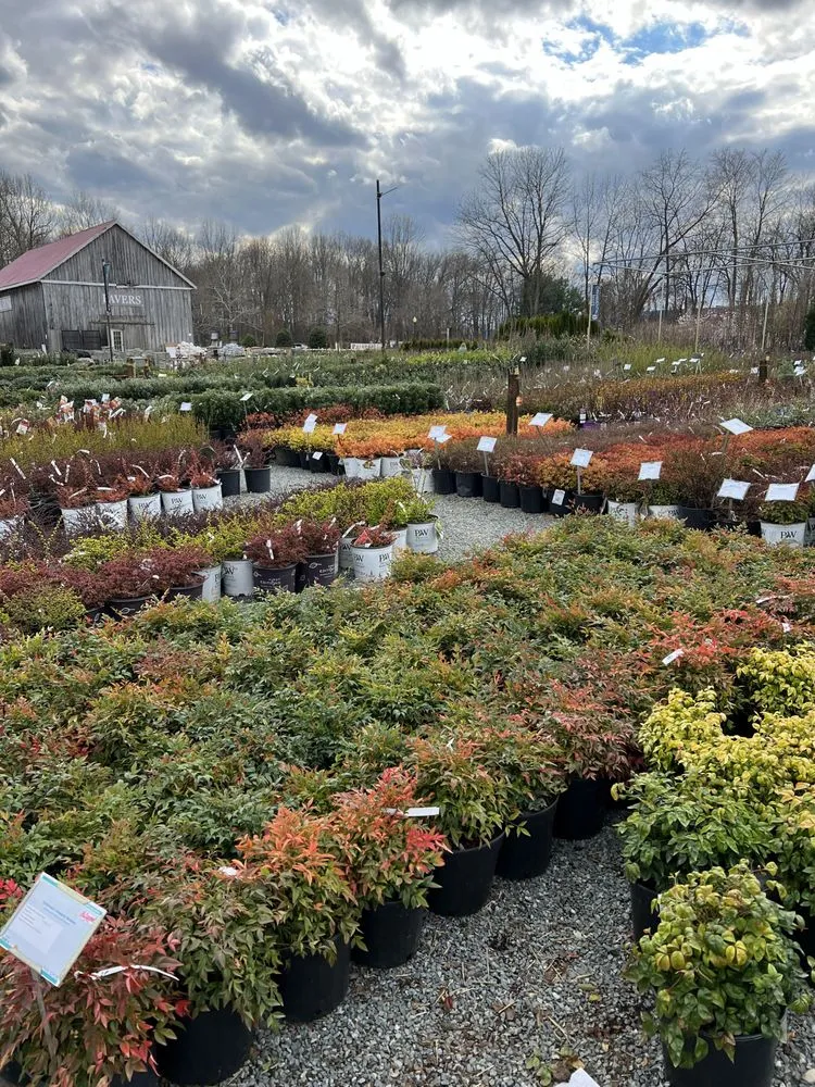 Top-rated landscaping services in Bowie, MD - Patuxent Nursery