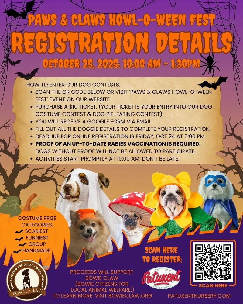 Affordable yard cleanup service experts serving Bowie, MD - Patuxent Nursery