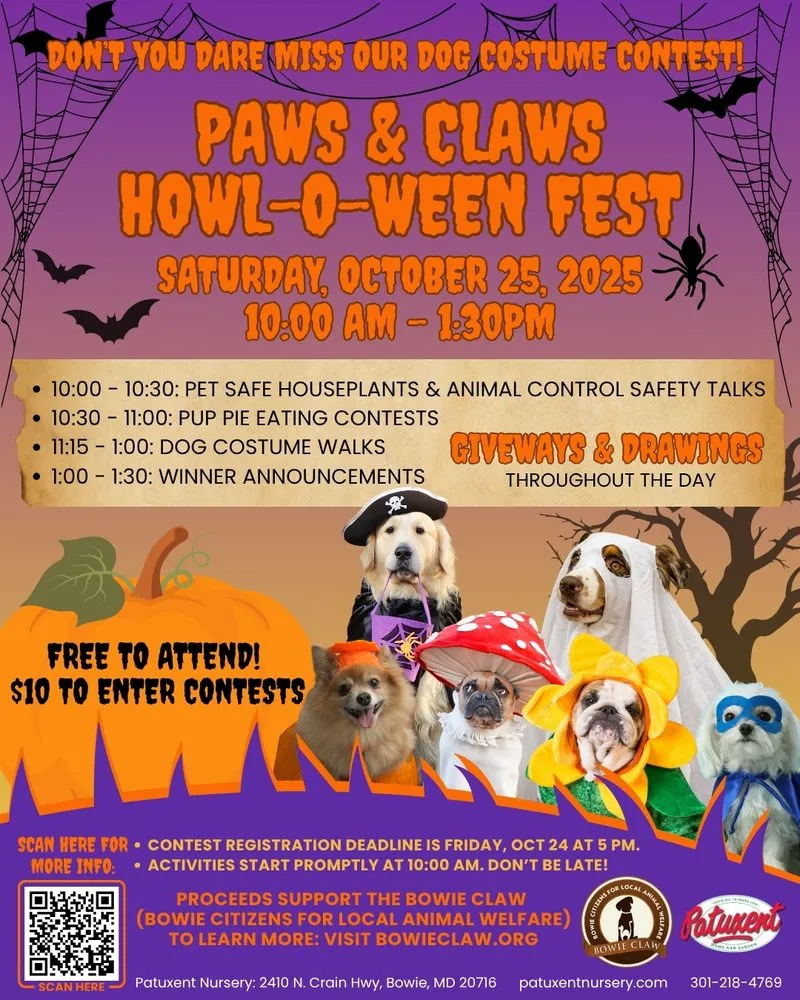 Custom outdoor landscaping experts serving Bowie, MD - Patuxent Nursery