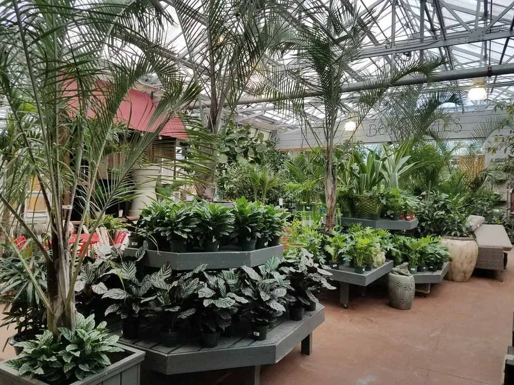 Professional landscape design for beautiful yards in Bowie, MD by Patuxent Nursery