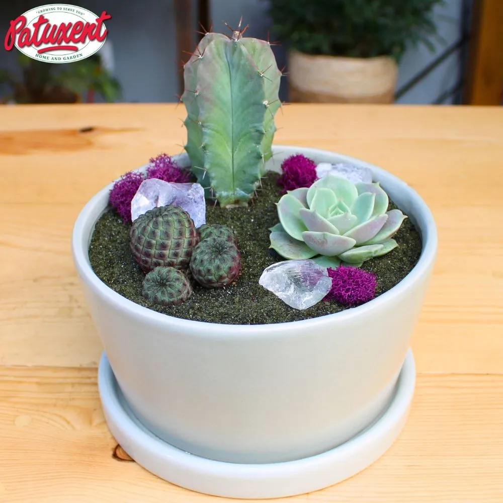 Professional yard maintenance experts serving Bowie, MD - Patuxent Nursery