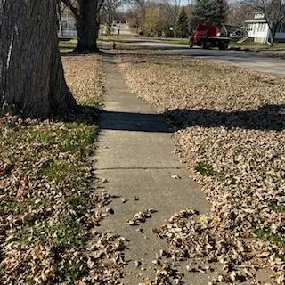 Trusted landscape installation experts serving New Lenox, IL - PatwsLawnCare Of New Lenox