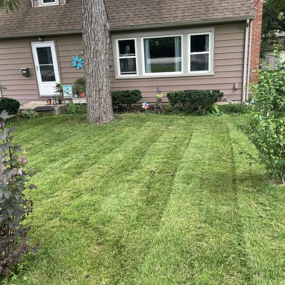 Trusted yard maintenance in New Lenox, IL - PatwsLawnCare Of New Lenox