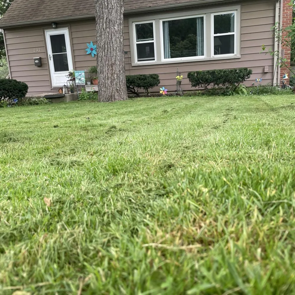 Professional landscape installation experts serving New Lenox, IL - PatwsLawnCare Of New Lenox