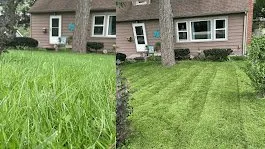 Local residential landscaping in New Lenox, IL by PatwsLawnCare Of New Lenox