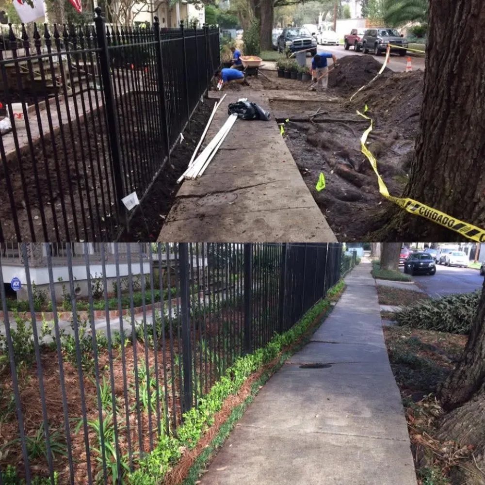 Professional yard cleanup service in Kenner, LA - Paul Cotoli