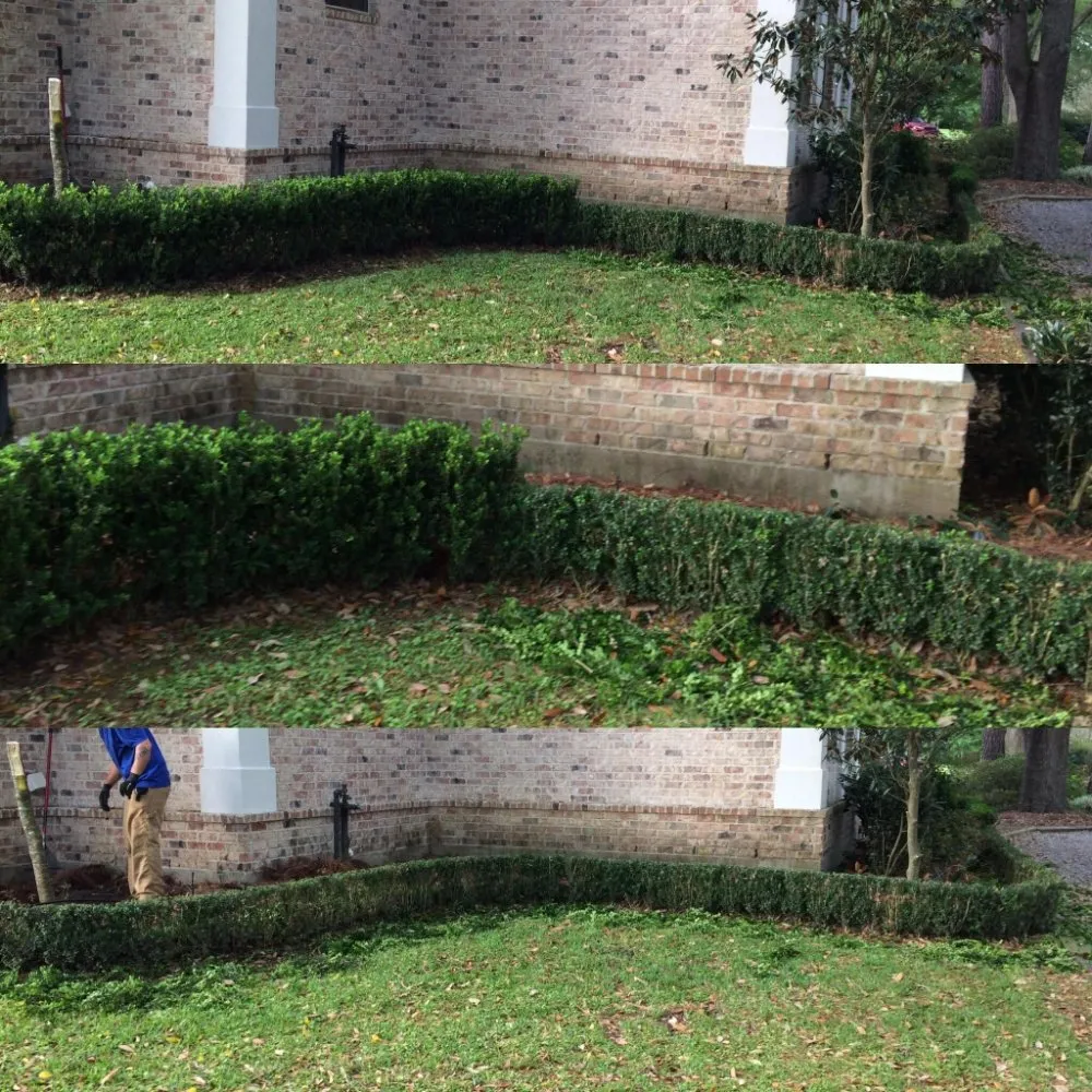 Reliable outdoor landscaping experts serving Kenner, LA - Paul Cotoli