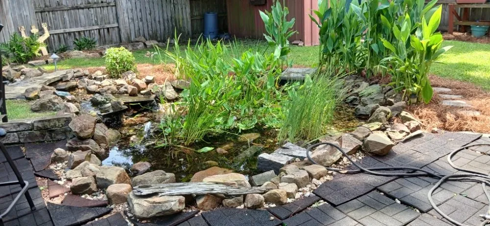 Reliable garden landscaping for year-round maintenance in Kenner, LA by Paul Cotoli