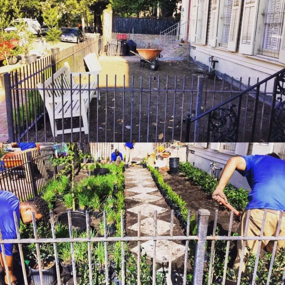 Reliable lawn care service for year-round maintenance across Kenner, LA - Paul Cotoli