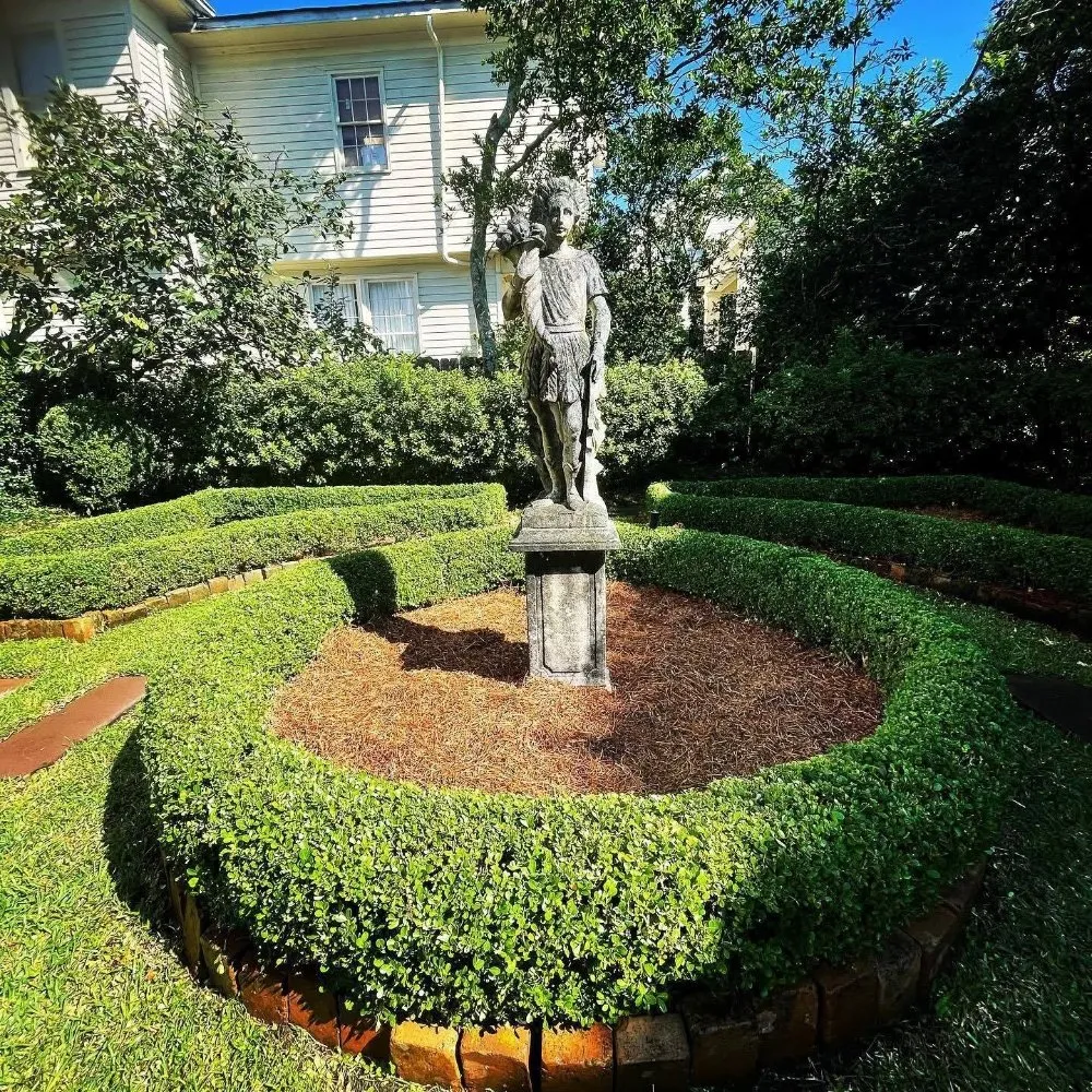 Custom lawn mowing service in Kenner, LA by Paul Cotoli