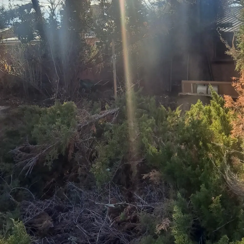 Custom lawn mowing service near you in Bosque Farms, NM by Paul Hauls Junk Removal