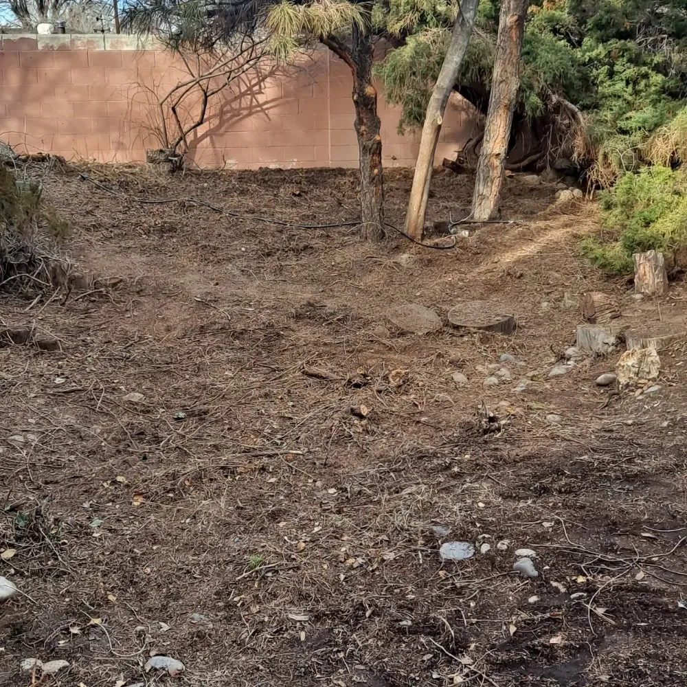 Top-rated yard cleanup service with custom design in Bosque Farms, NM by Paul Hauls Junk Removal