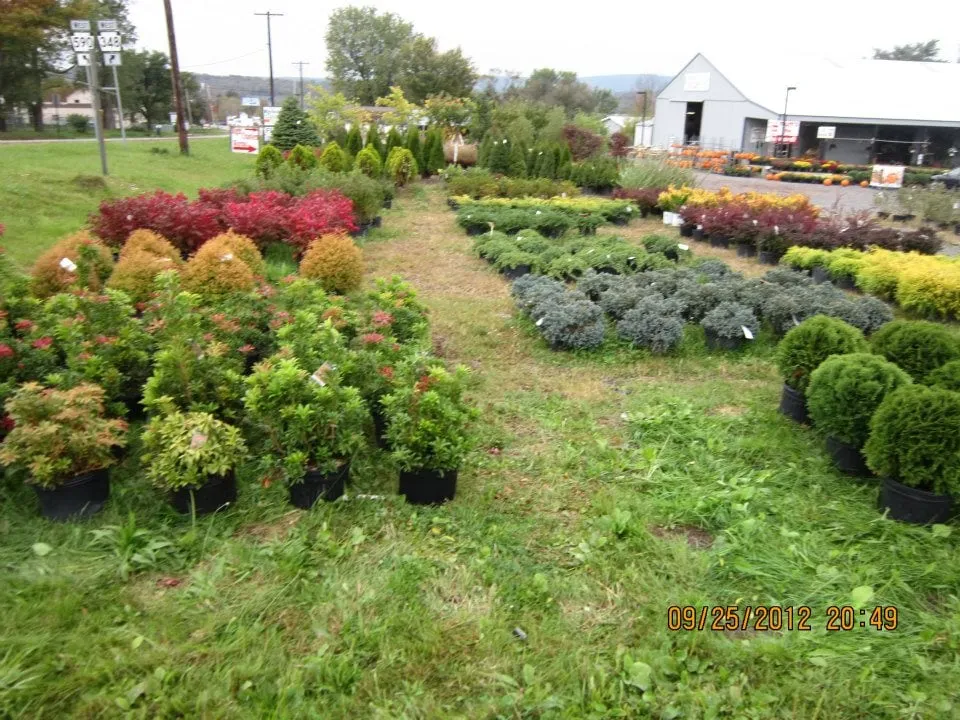 Affordable garden landscaping in Hamlin, PA - Paul Kellogg's Garden Center & Landscaping