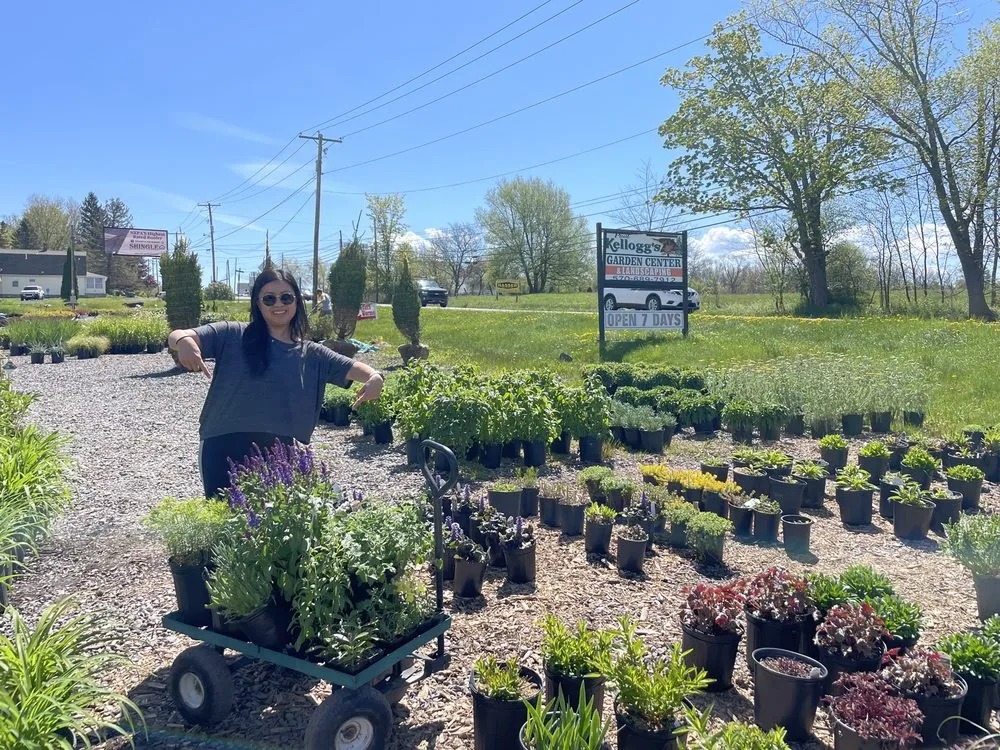 Top-rated landscape design in Hamlin, PA - Paul Kellogg's Garden Center & Landscaping