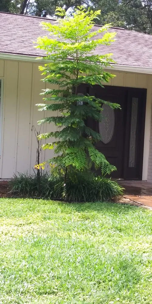 Custom garden landscaping experts serving Port Richey, FL - Paul lawn cuts and more