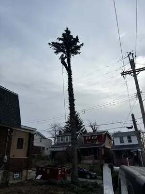 Paul Miller’s Landscaping