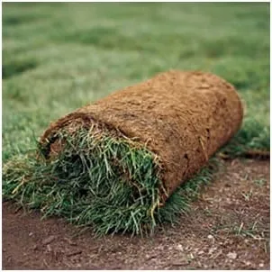 Reliable garden landscaping in Visalia, CA - Paul Moore Landscapes