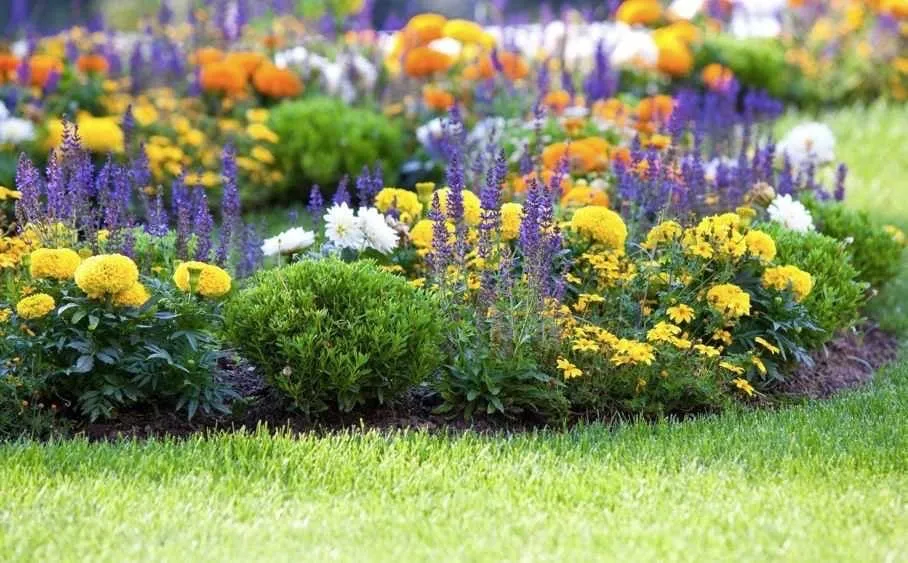 Reliable residential landscaping experts serving Visalia, CA - Paul Moore Landscapes