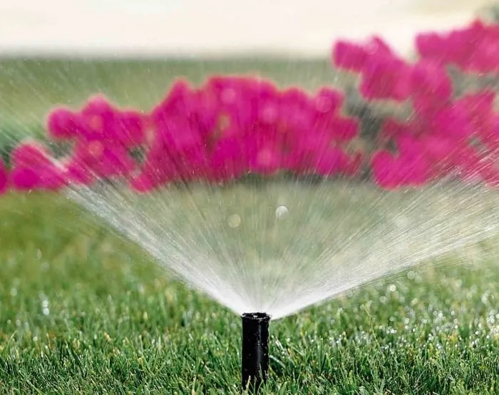 Professional outdoor landscaping in Visalia, CA by Paul Moore Landscapes