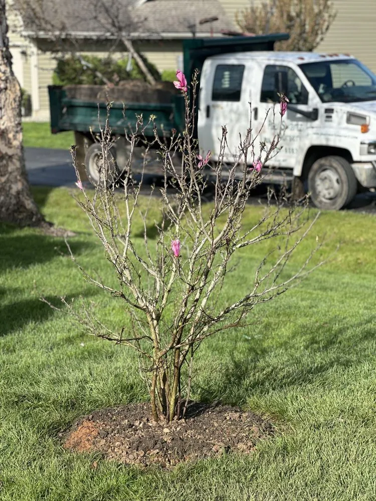 Custom residential landscaping in Burlington, WI by Paul Swartz Nursery
