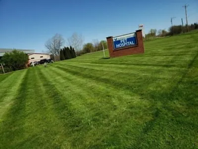 Custom yard maintenance for beautiful yards across Waukesha, WI - Paul Terry Services