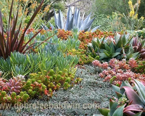 Trusted yard maintenance in Dallas, TX by Paul Viers Landscaping