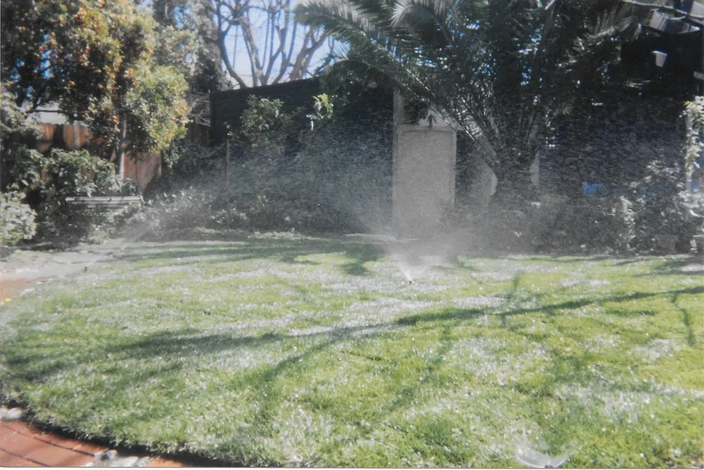 Local lawn care service in Dallas, TX by Paul Viers Landscaping