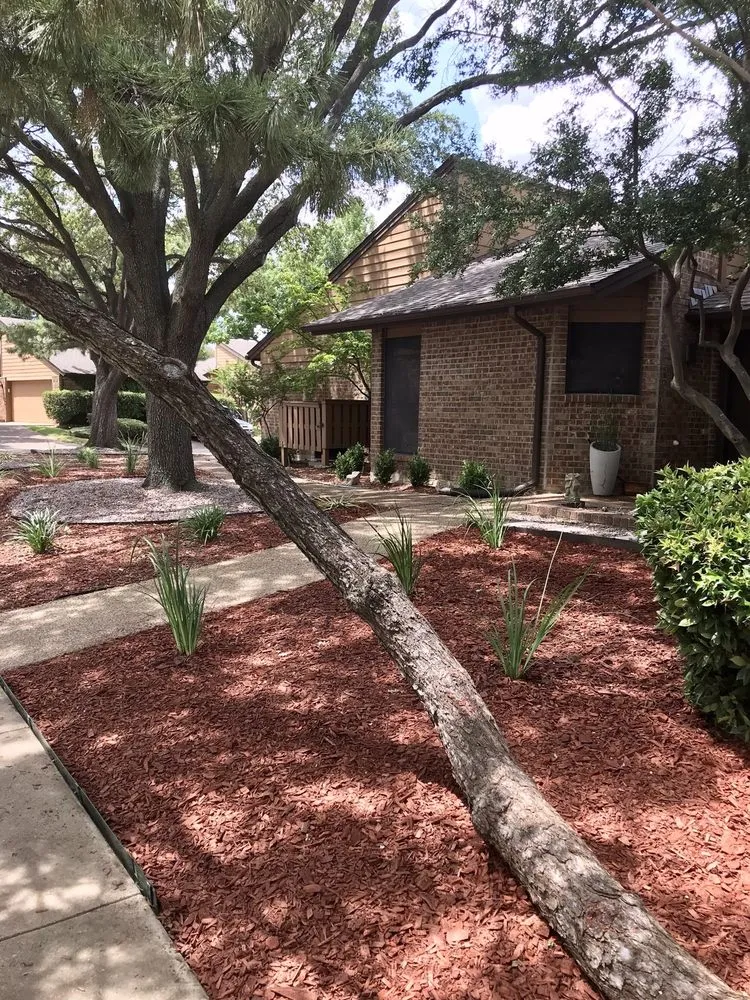 Top-rated yard maintenance for homes across Dallas, TX - Paul Viers Landscaping