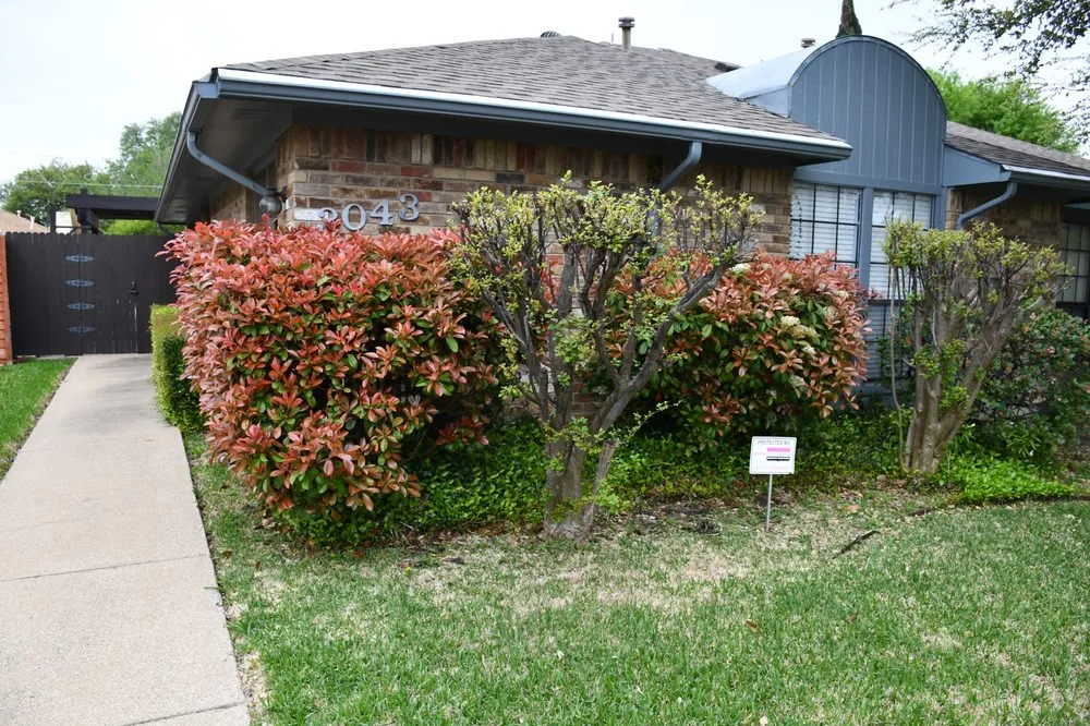 Professional landscaping services for outdoor upgrades across Dallas, TX - Paul Viers Landscaping