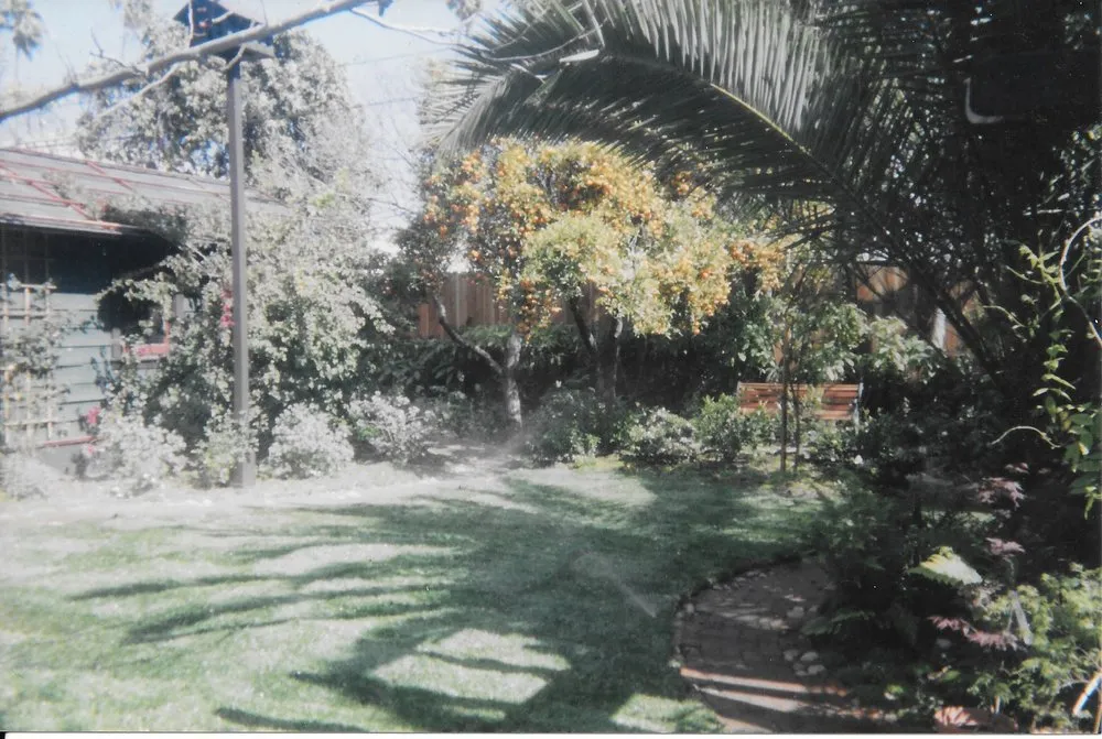 Reliable garden landscaping in Dallas, TX by Paul Viers Landscaping